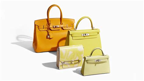 mysore hermes|Hermes yellows.